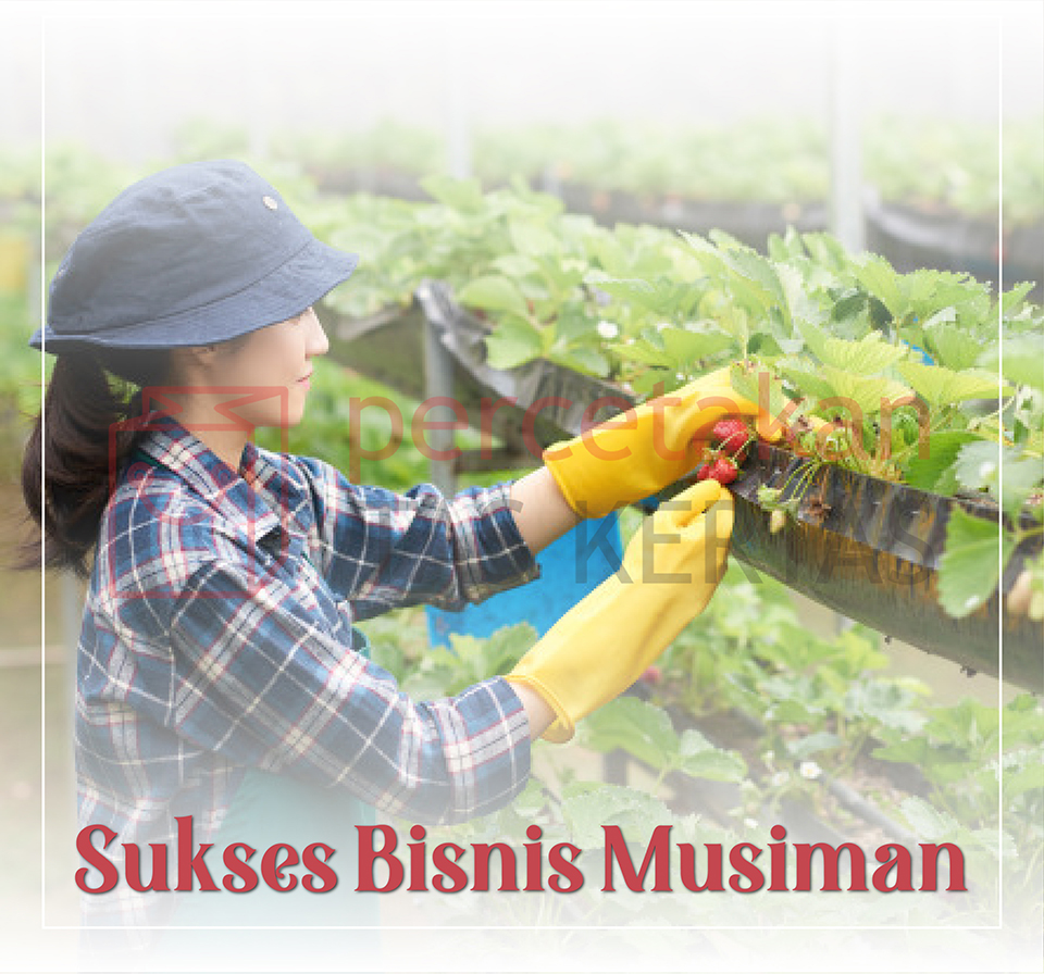 5 Tips Sukses Bisnis Musiman yang Layak Dicoba