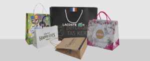 Paper Bag Custom