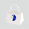 percetakan_tas_kertas_ paperbag bleached 20x15x15cm - blue butter